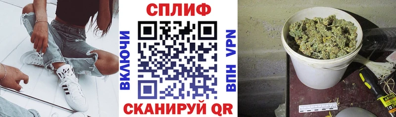 Бошки марихуана конопля Ишим